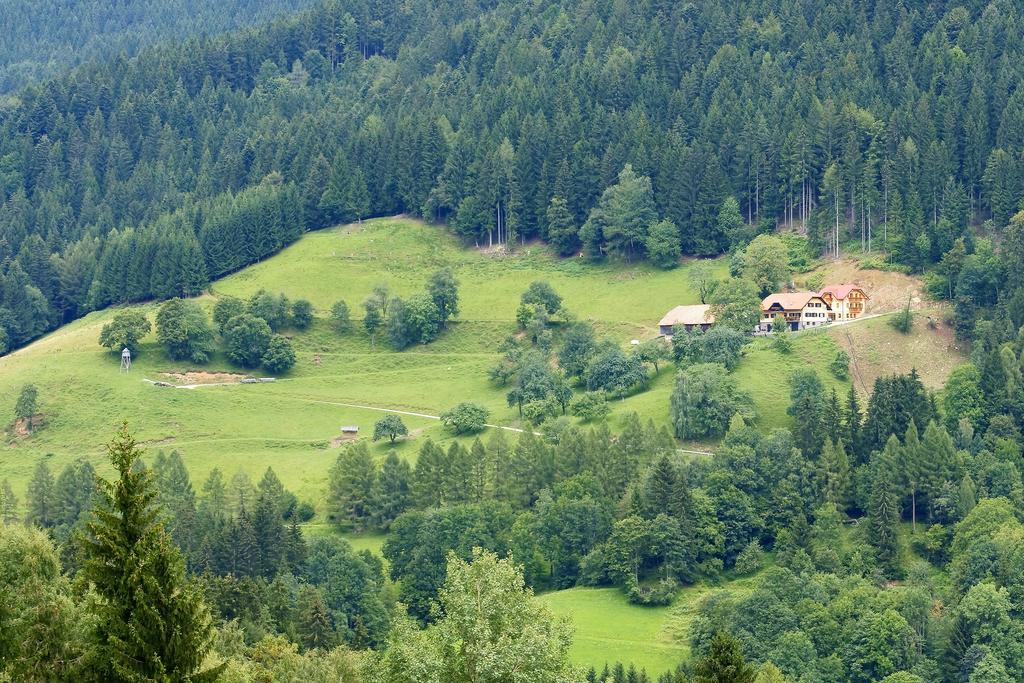 Tourist Farm Arbajter Villa Resnik Exterior photo