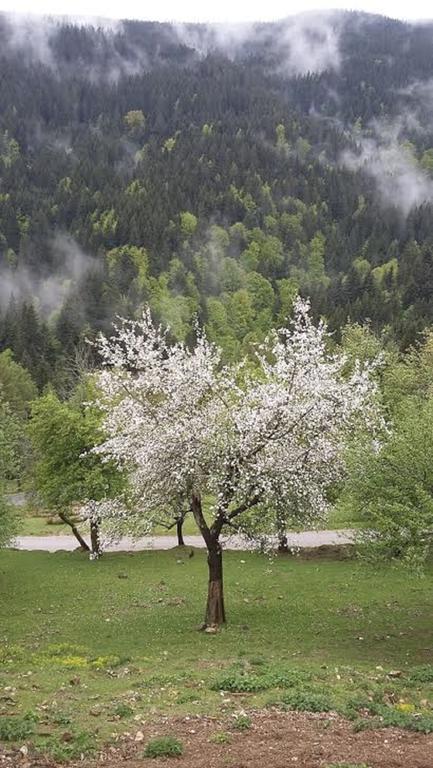 Tourist Farm Arbajter Villa Resnik Exterior photo